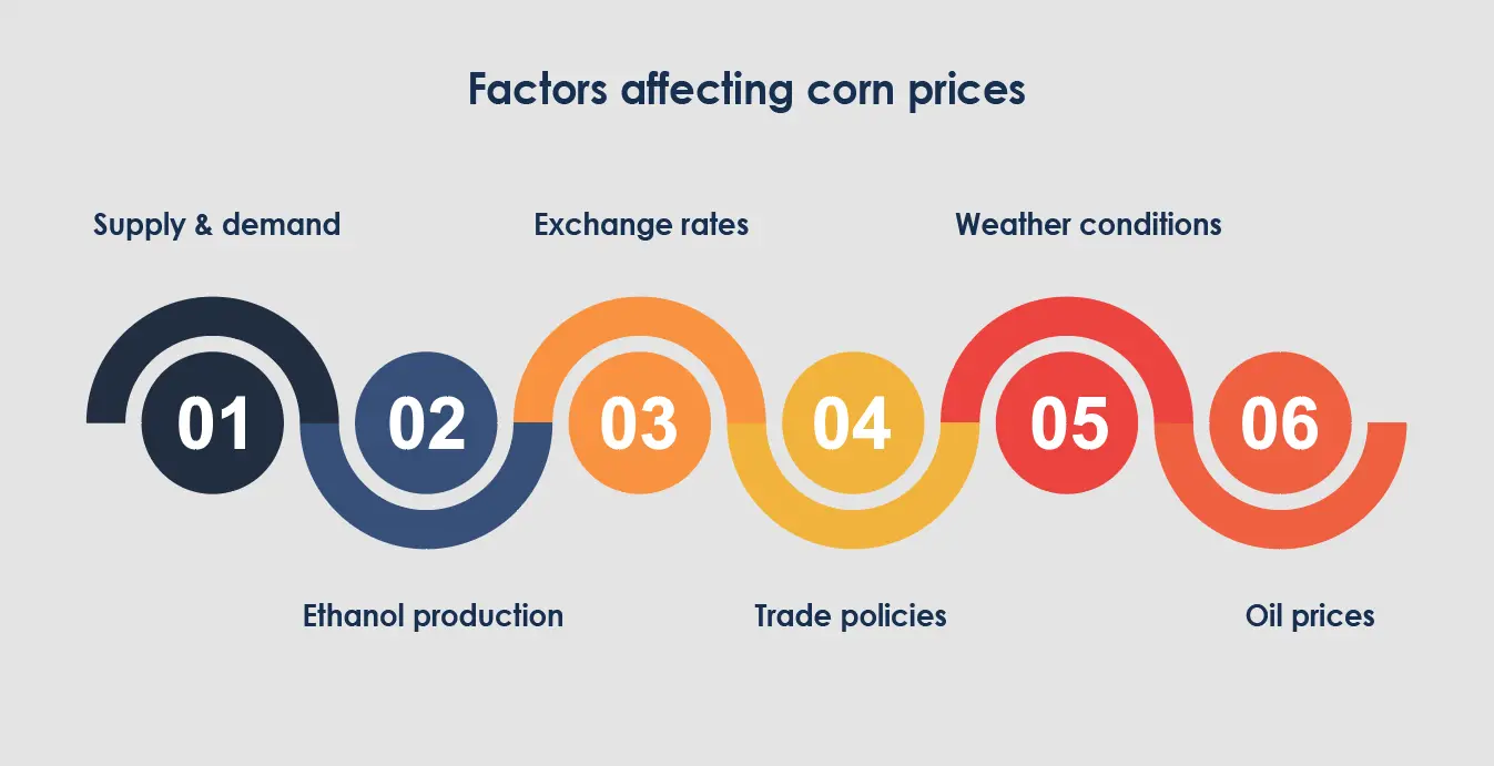 factors-affecting-corn-price