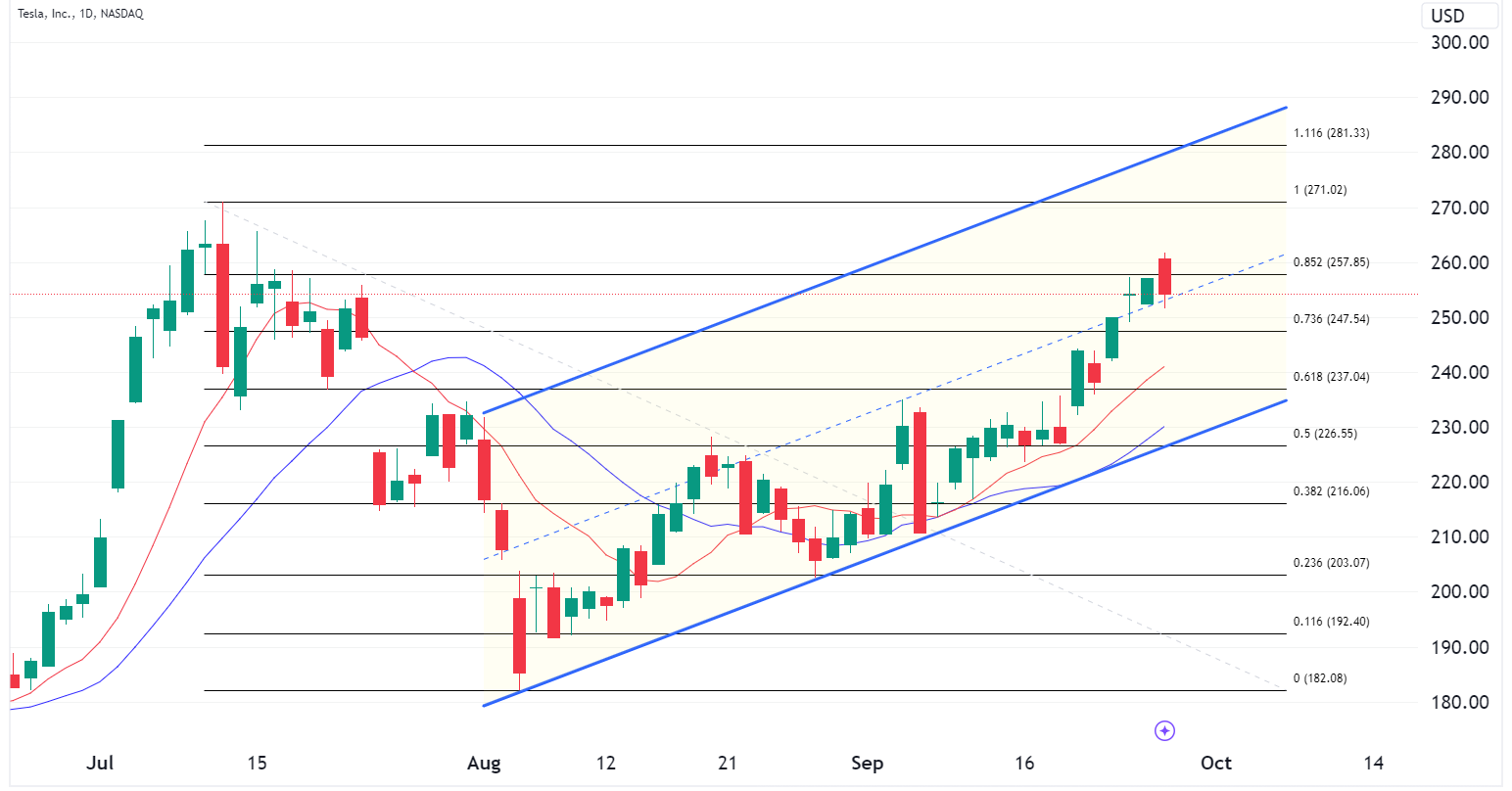 TSLA - Daily Chart