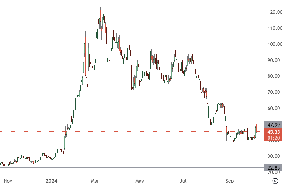 SMCI - Daily Chart