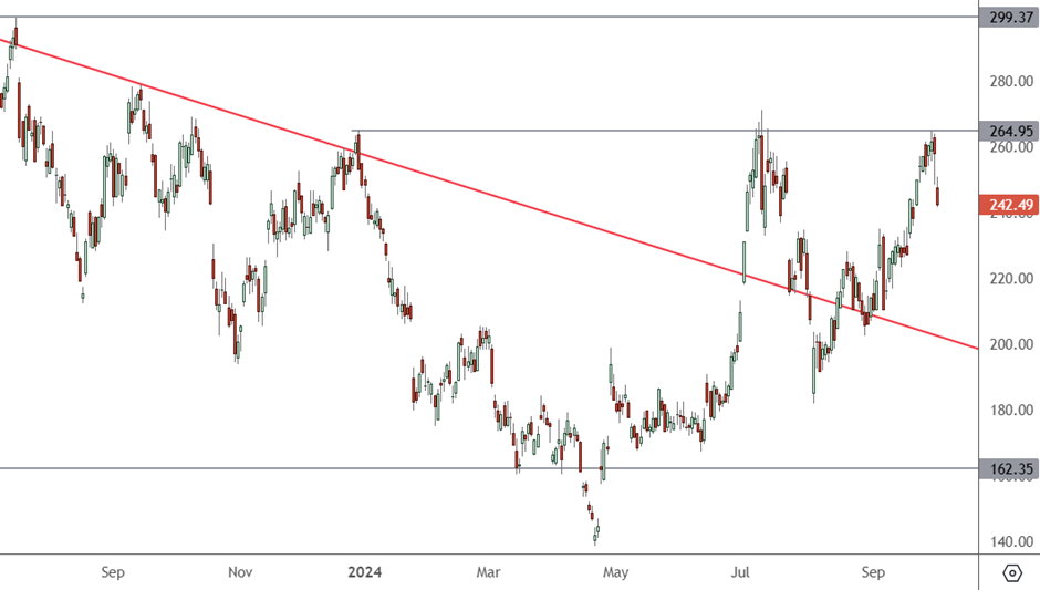 TSLA - Daily Chart