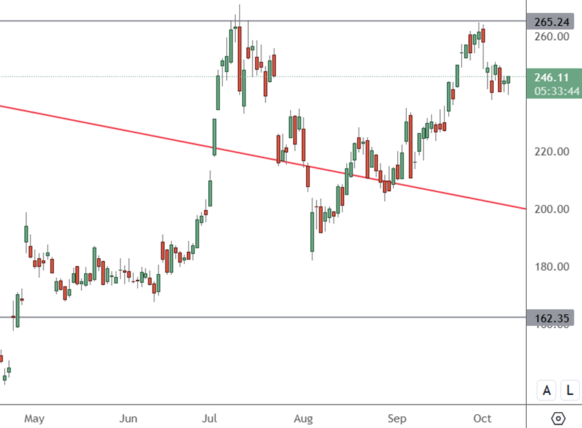 TSLA – Daily Chart